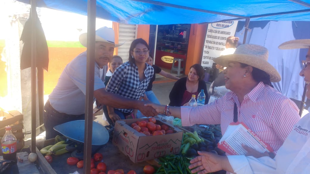 Recorre MPG Ahualulco en campaña pro Obrador 